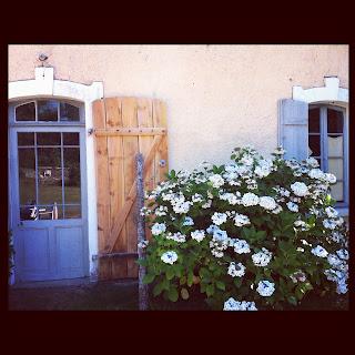 LA PETITE MAISON AU FOND DES PINS... LA PETITE MAISON AU FOND DES PINS...