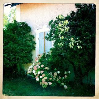LA PETITE MAISON AU FOND DES PINS... LA PETITE MAISON AU FOND DES PINS...