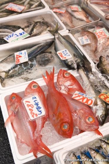 Fukushima : les poissons sont devenus hautement radioactifs
