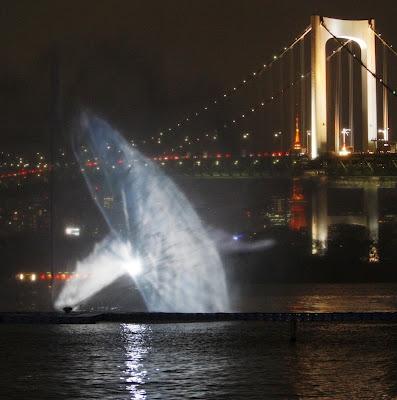 Magnifique spectacle Son, Eau et Lumière de Tokyo Magnifique spectacle Son, Eau et Lumière de Tokyo