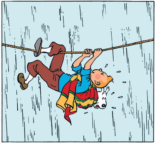 tintin-milou-chiens Des livres qui ont du chien!