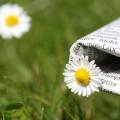 la gazette de sos-stress 2 Zeitung auf der Wiese VIII