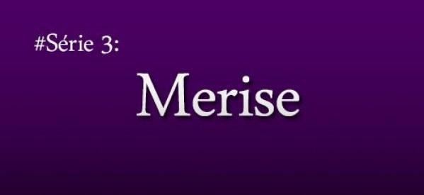 Merise: 1.Introduction