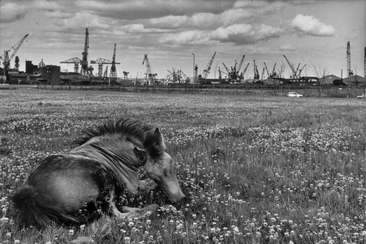 34 Martine Franck : 1938 – 2012