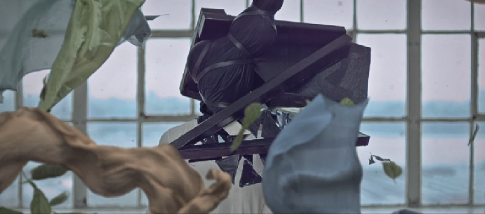 Sans titre4 Le darwinisme mis en images