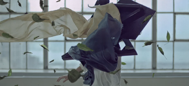 Sans titre3 Le darwinisme mis en images