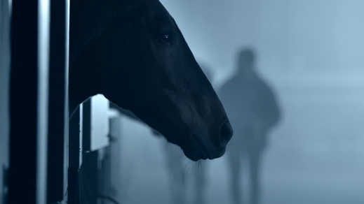 1 At the heart of passion – Longines