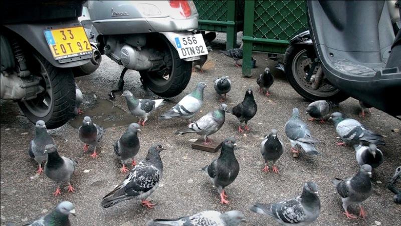 1 Entretien avec Ivan Argote : « l’art est une philosophie des actes »