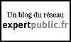 Genre (s), culture et féminisme relationnel. expert public