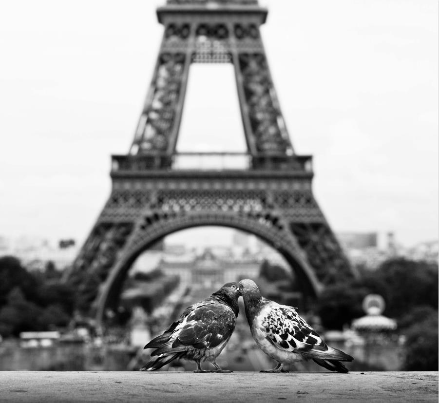Photos souvenirs de Paris