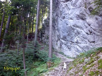 15 kms... st jean de sixt,la clusaz,col des mouilles,montagne,rando,alpage,haute-savoie