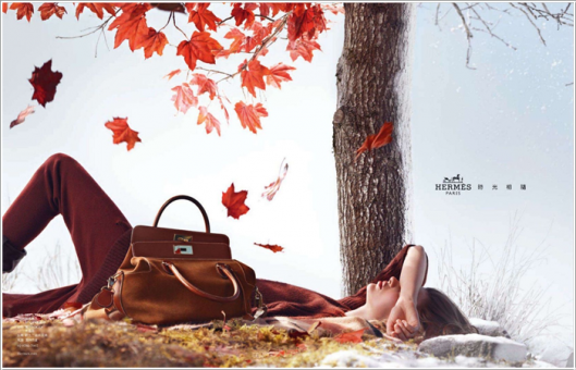 In Autumn…I’m falling in love with Hermès !