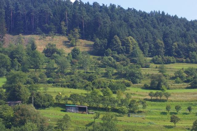 Slovaquie pendant le retour en Pologne IMGP8415 Slovaquie