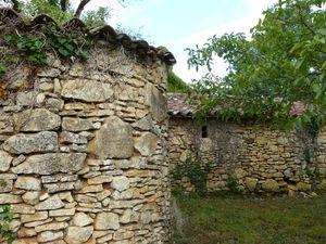 Chronique d'un automne annoncé ... P1070736