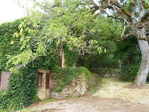 Chronique d'un automne annoncé ... P1070737