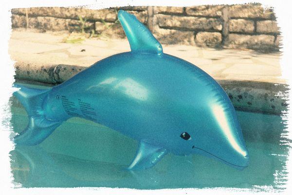 Flipper aussi ... IMG_9076_Modifier