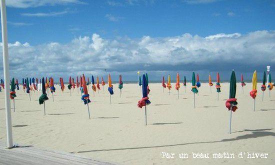 COTE FLEURIE ...
Les vacances ne sont pas encore terminée... DSCF9587