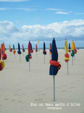 COTE FLEURIE ...
Les vacances ne sont pas encore terminée... DSCF9572c