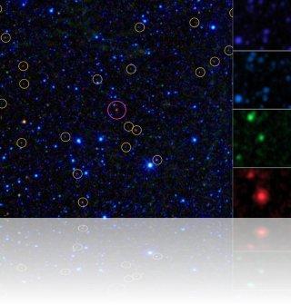Cette image est une partie de la cartographie de la sphère céleste par le télescope WISE. Il met en évidence la première galaxie Hot DOG parmis les 1000 trouvées par la mission, identifiée par le cercle magenta. Crédit : NASA