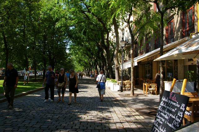 Bratislava, Slovaquie IMGP8260 Bratislava Slovakie