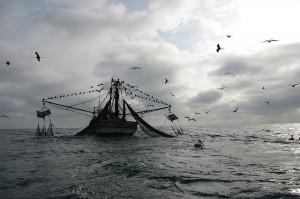 Un chalutier en mer. Photo cc Flickr gregorylegarec. Un chalutier en mer. Photo cc Flickr gregorylegarec.