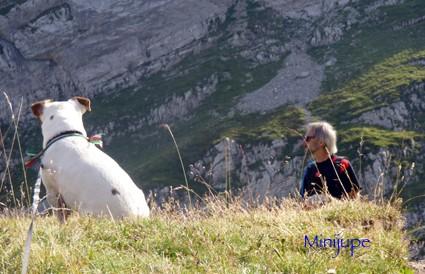Ça monte lac de peyre,col de la colombière,haute-savoie,chamois,rando,dénivelé