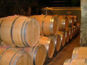 Visite au château Bourgneuf (Pomerol) Bourgneuf 029
