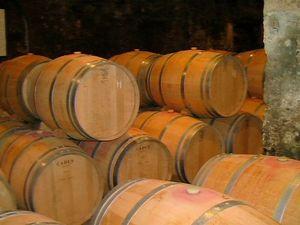 Visite au château Bourgneuf (Pomerol) Bourgneuf 031