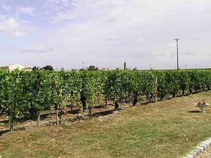 Visite au château Bourgneuf (Pomerol) Bourgneuf 002