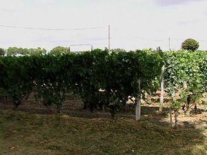 Visite au château Bourgneuf (Pomerol) Bourgneuf 001