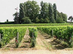 Visite au château Bourgneuf (Pomerol) Bourgneuf 004