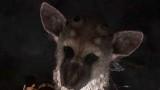 Sony redépose le nom The Last Guardian Sony redépose le nom The Last Guardian