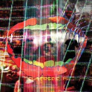 Animal Collective - Centipede Hz Animal Collective - Centipede Hz