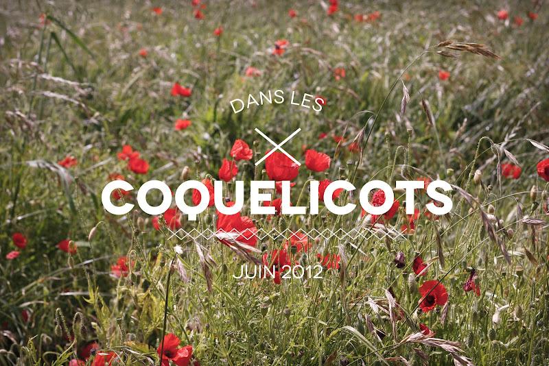 # Dans les coquelicots # # Dans les coquelicots #