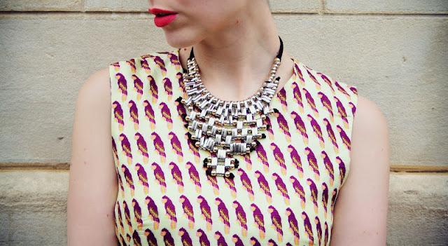 # Parrots # # Parrots #