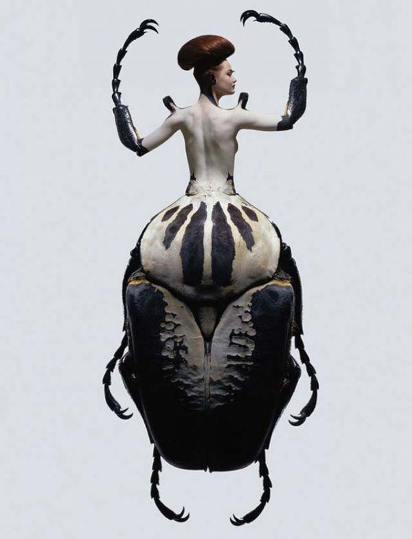Photographies : Les femmes insectes de Laurent Seroussi
