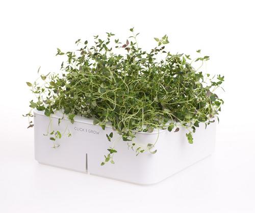 Design et Maîtrise de la Nature : La Click and Grow box Design et Maîtrise de la Nature : La Click and Grow box