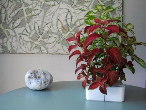 Design et Maîtrise de la Nature : La Click and Grow box Design et Maîtrise de la Nature : La Click and Grow box