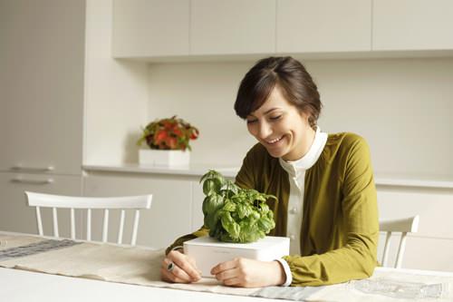 Design et Maîtrise de la Nature : La Click and Grow box Design et Maîtrise de la Nature : La Click and Grow box