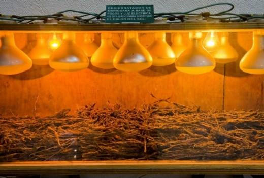 Drug Museum 13 Le Musée de la Drogue – Mexico