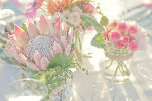 Envies ... tumblr_m9v4elFyGN1qf8asto1_500