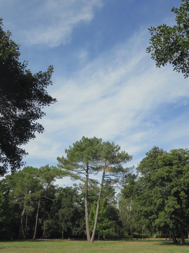 Au Boudoir x Le Monde est à Nous 14 Au Boudoir x Le Monde est à Nous!