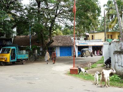 Pêche, chèvres et chaises musicales : premières impressions indiennes à Kochi Pêche, chèvres et chaises musicales : premières impressions indiennes à Kochi