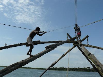 Pêche, chèvres et chaises musicales : premières impressions indiennes à Kochi Pêche, chèvres et chaises musicales : premières impressions indiennes à Kochi