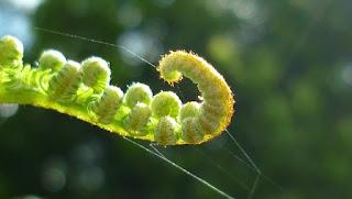 Japonisme : 片田舎 - Katainaka Japonisme : 片田舎 - Katainaka