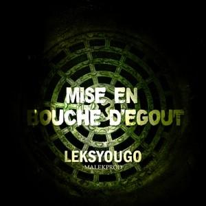 Rencontre avec LeksYougo [Interview]