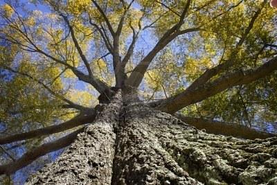 L’expérience L’expérience