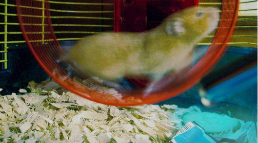 21172939_532f4977c5_b Et la roue tourne, elle tourne, elle tourne…