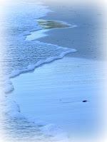 PHOTO DE LA SEMAINE #32 PHOTO DE LA SEMAINE #32