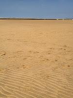 PHOTO DE LA SEMAINE #32 PHOTO DE LA SEMAINE #32